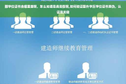 那学位证书去哪里查啊，怎么知道是真是假啊,如何验证国外学历学位证书真伪，认证是关键