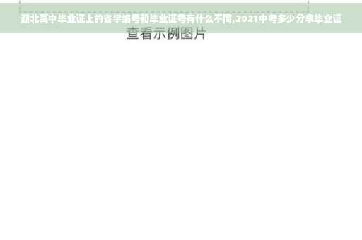 湖北高中毕业证上的省学编号和毕业证号有什么不同,2021中考多少分拿毕业证