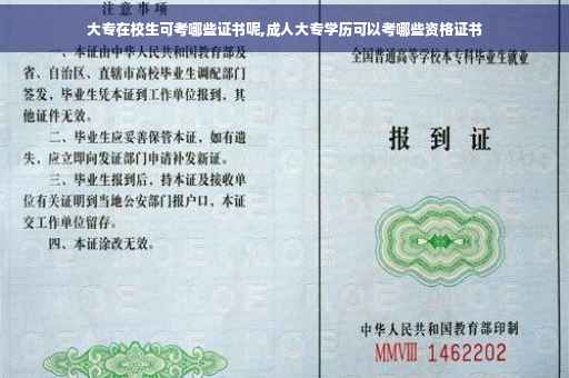 大专在校生可考哪些证书呢,成人大专学历可以考哪些资格证书