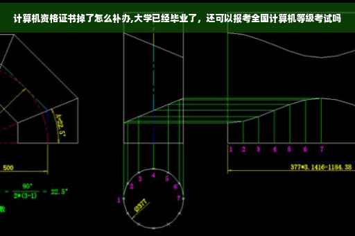 计算机资格证书掉了怎么补办,大学已经毕业了,还可以报考全国计算机等级考试吗 计算机资格证书掉了怎么补办,大学已经毕业了,还可以报考全国计算机等级考试吗