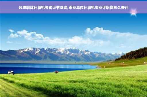 合肥职称计算机考试证书查询,事业单位计算机专业评职称怎么去评