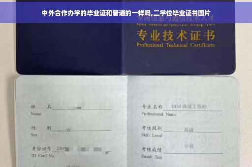 中外合作办学的毕业证和普通的一样吗,二学位毕业证书图片