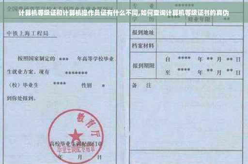计算机等级证和计算机操作员证有什么不同,如何查询计算机等级证书的真伪