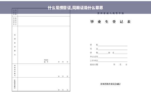 什么是授田证,同胞证是什么意思