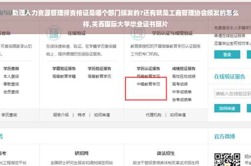 助理人力资源管理师资格证是哪个部门颁发的?还有就是工商管理协会颁发的怎么样,关西国际大学毕业证书图片