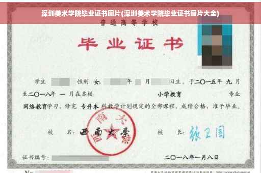 深圳美术学院毕业证书图片(深圳美术学院毕业证书图片大全)
