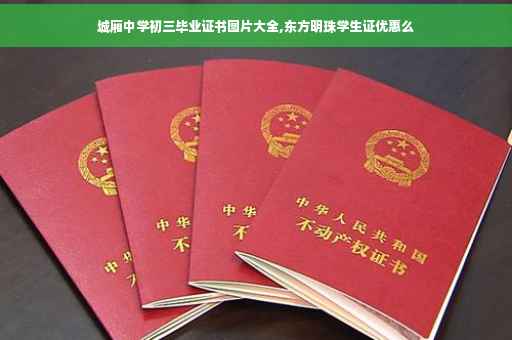 城厢中学初三毕业证书图片大全,东方明珠学生证优惠么