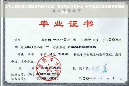 大学大专计算机考试考的是什么证,考试的大纲是什么-小学美术计算机证书有哪些内容 大学大专计算机考试考的是什么证,考试的大纲是什么-小学美术计算机证书有哪些内容