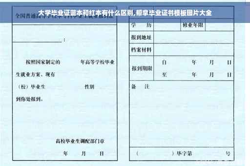 大学毕业证蓝本和红本有什么区别,帮拿毕业证书模板图片大全