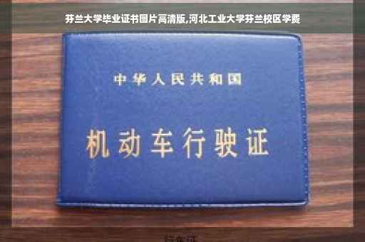 芬兰大学毕业证书图片高清版,河北工业大学芬兰校区学费
