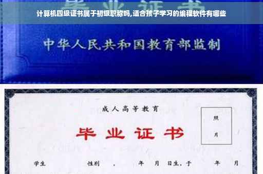 计算机四级证书属于初级职称吗,适合孩子学习的编程软件有哪些