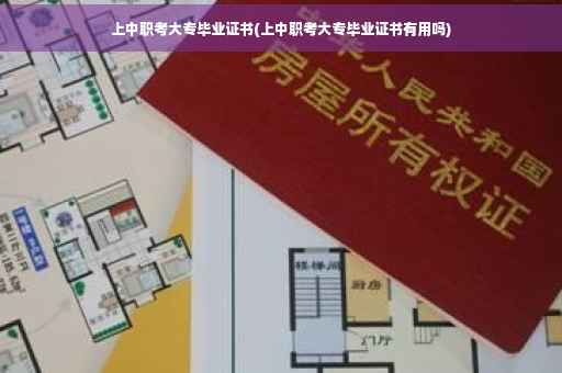 上中职考大专毕业证书(上中职考大专毕业证书有用吗)