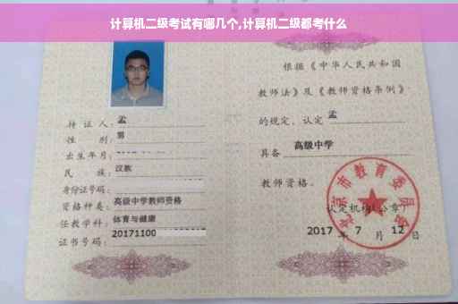 计算机二级考试有哪几个,计算机二级都考什么