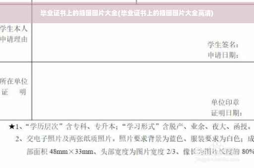 毕业证书上的插图图片大全(毕业证书上的插图图片大全高清)