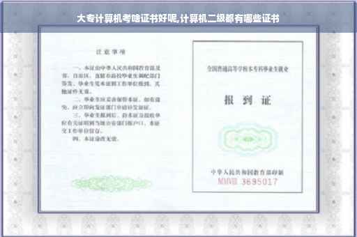 大专计算机考啥证书好呢,计算机二级都有哪些证书