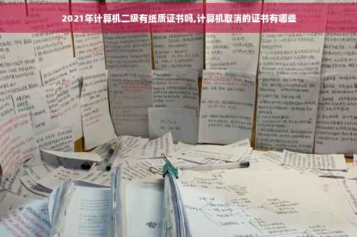2021年计算机二级有纸质证书吗,计算机取消的证书有哪些