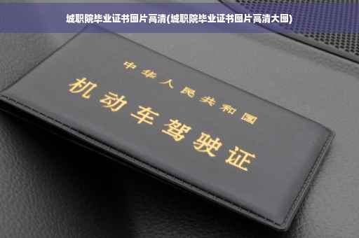 城职院毕业证书图片高清(城职院毕业证书图片高清大图)
