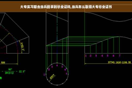 大专实习期去当兵能拿到毕业证吗,当兵怎么取得大专毕业证书