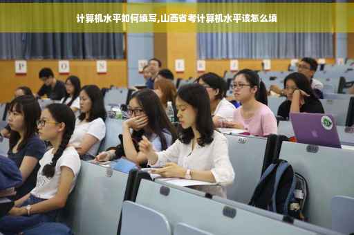 计算机水平如何填写,山西省考计算机水平该怎么填