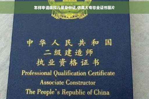 怎样申请虚拟儿童身份证,仿真大专毕业证书图片