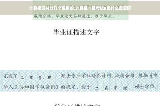 计算机证书分几个级别的,计算机一级考试B是什么意思呀