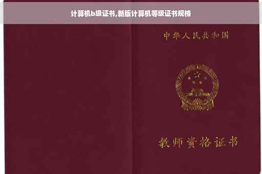 计算机b级证书,新版计算机等级证书规格