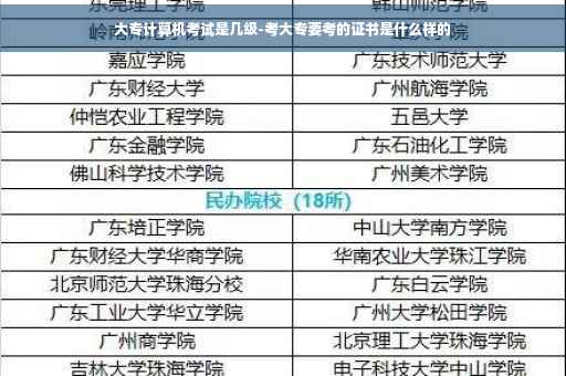大专计算机考试是几级-考大专要考的证书是什么样的