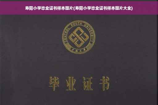寿阳小学毕业证书样本图片(寿阳小学毕业证书样本图片大全)