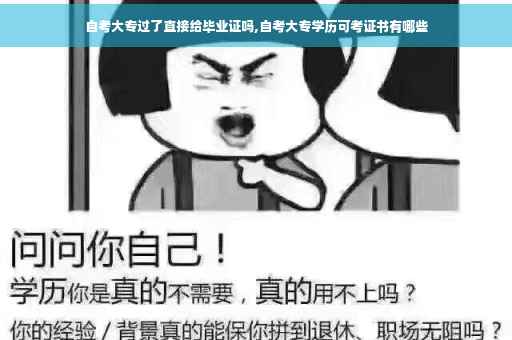 自考大专过了直接给毕业证吗,自考大专学历可考证书有哪些