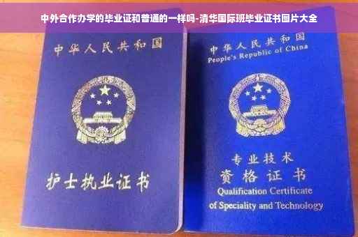 中外合作办学的毕业证和普通的一样吗-清华国际班毕业证书图片大全