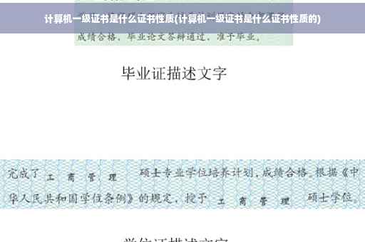 计算机一级证书是什么证书性质(计算机一级证书是什么证书性质的)