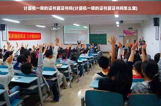 计算机一级的证书算证书吗(计算机一级的证书算证书吗怎么查)