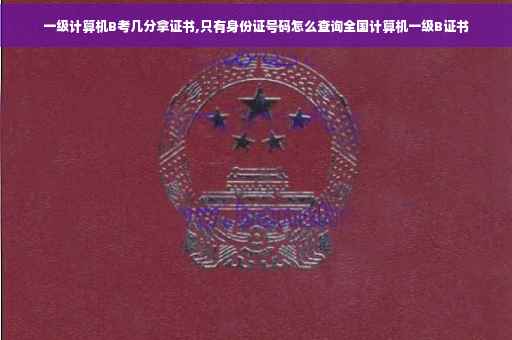一级计算机B考几分拿证书,只有身份证号码怎么查询全国计算机一级B证书 一级计算机B考几分拿证书,只有身份证号码怎么查询全国计算机一级B证书
