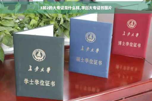 3加2的大专证是什么样,学历大专证书图片