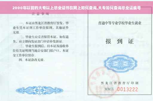2000年以前的大专以上毕业证书在网上如何查询,大专如何查询毕业证编号