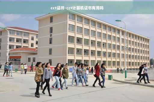cct证书-cct计算机证书有用吗