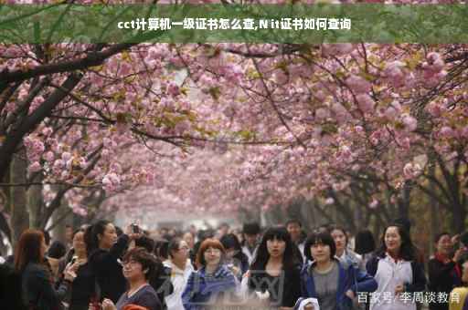 cct计算机一级证书怎么查,N it证书如何查询
