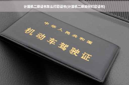 计算机二级证书怎么打印证书(计算机二级如何打印证书)