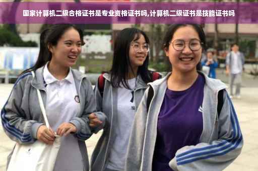 国家计算机二级合格证书是专业资格证书吗,计算机二级证书是技能证书吗
