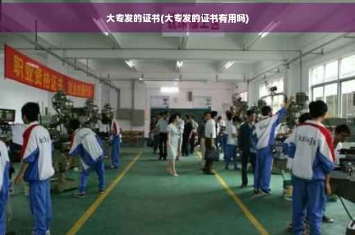 大专发的证书(大专发的证书有用吗)