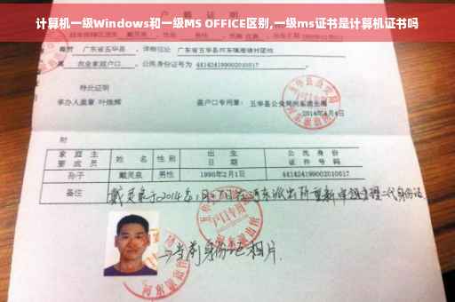 计算机一级Windows和一级MS OFFICE区别,一级ms证书是计算机证书吗