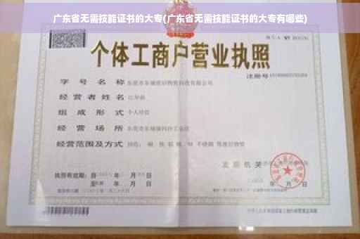 广东省无需技能证书的大专(广东省无需技能证书的大专有哪些)