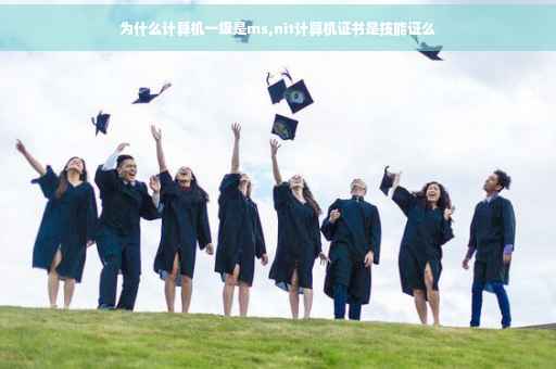 为什么计算机一级是ms,nit计算机证书是技能证么