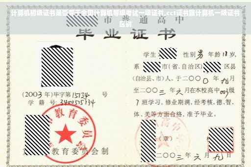 计算机初级证书是否等于全国计算机等级考试一级证书,cct证书跟计算机一级证书区别