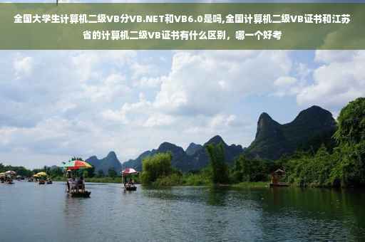 全国大学生计算机二级VB分VB.NET和VB6.0是吗,全国计算机二级VB证书和江苏省的计算机二级VB证书有什么区别，哪一个好考