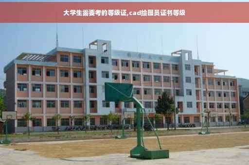 大学生需要考的等级证,cad绘图员证书等级