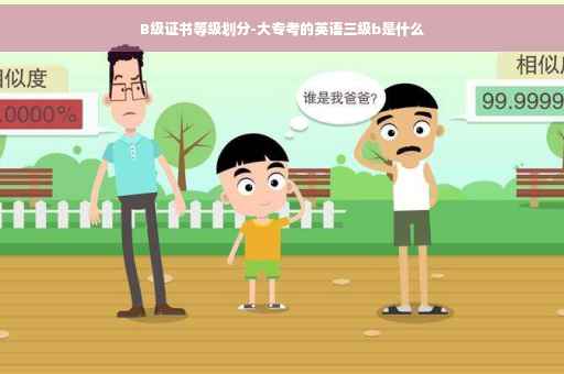 B级证书等级划分-大专考的英语三级b是什么