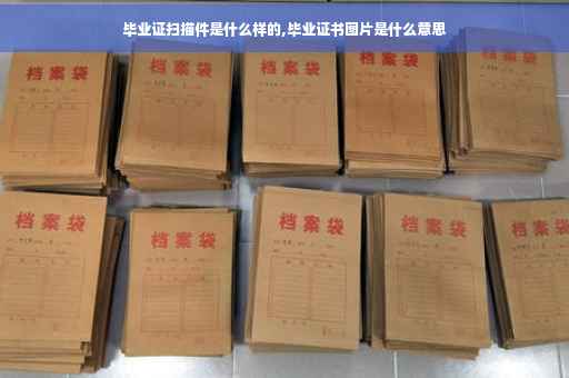毕业证扫描件是什么样的,毕业证书图片是什么意思