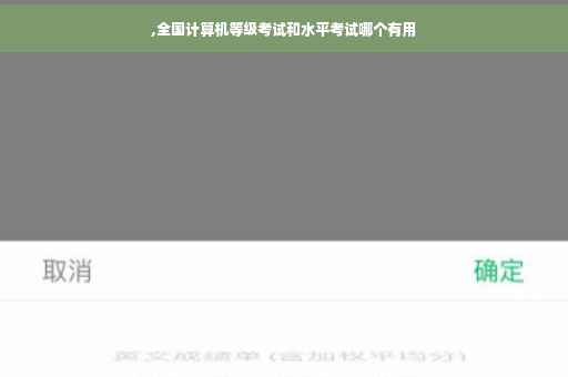 ,全国计算机等级考试和水平考试哪个有用