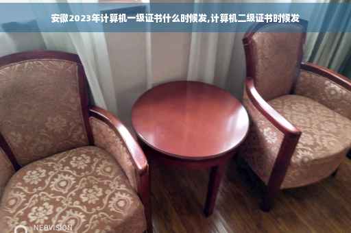 安徽2023年计算机一级证书什么时候发,计算机二级证书时候发